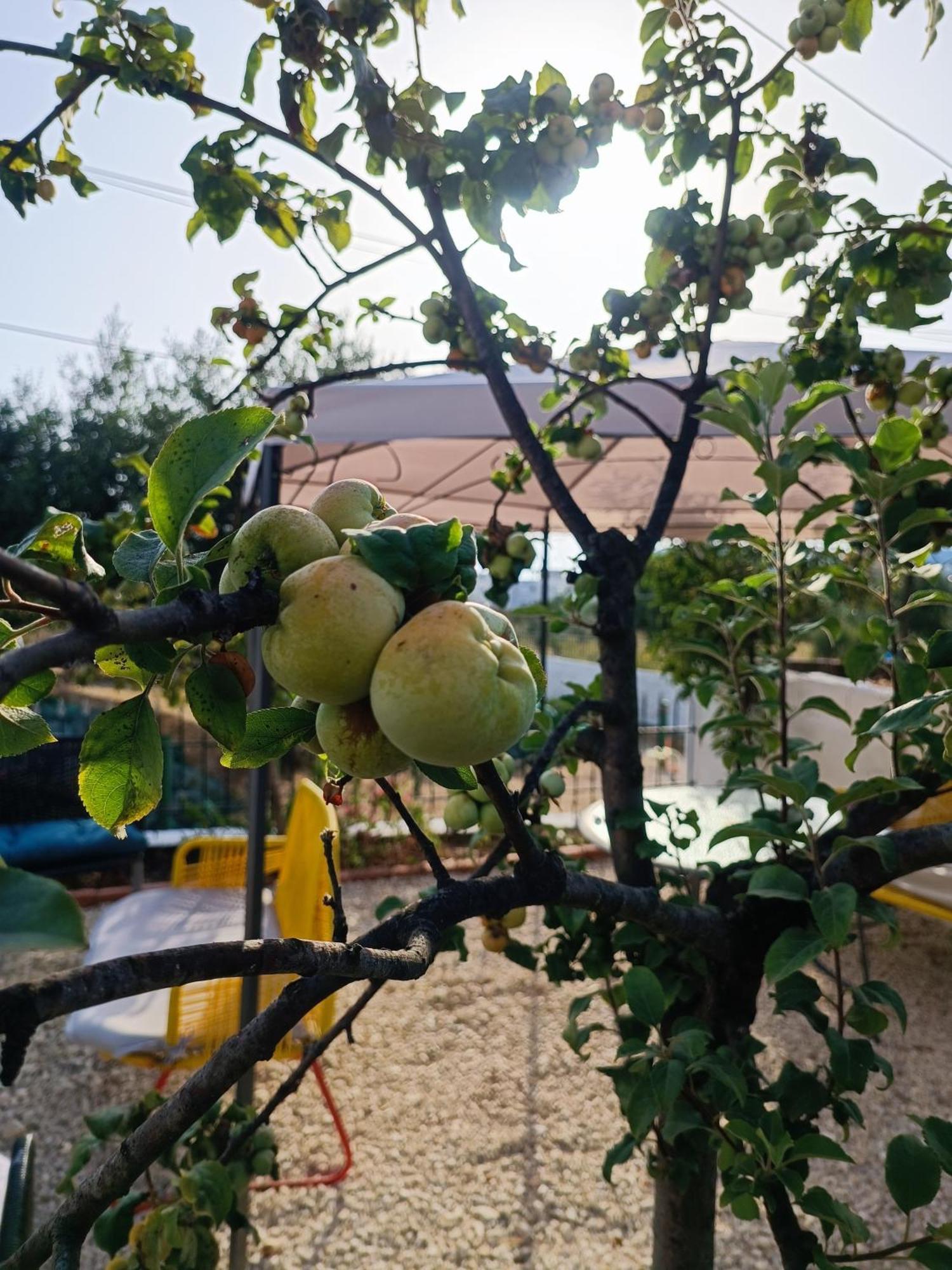 הימארה Natural Hostel מראה חיצוני תמונה