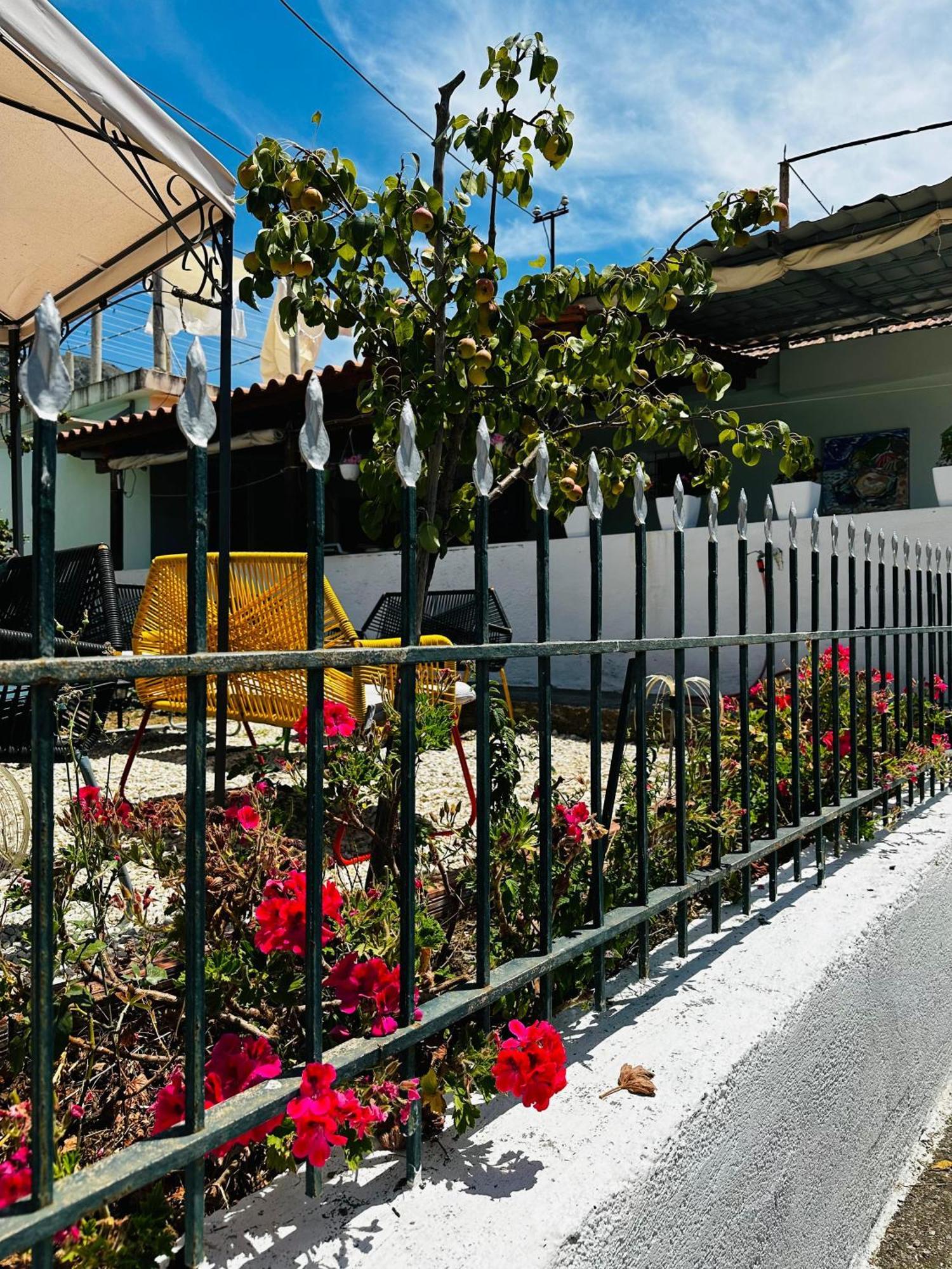הימארה Natural Hostel מראה חיצוני תמונה